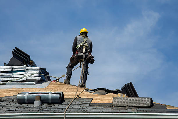 Professional Metal Roofing technician working in Esmond, IL